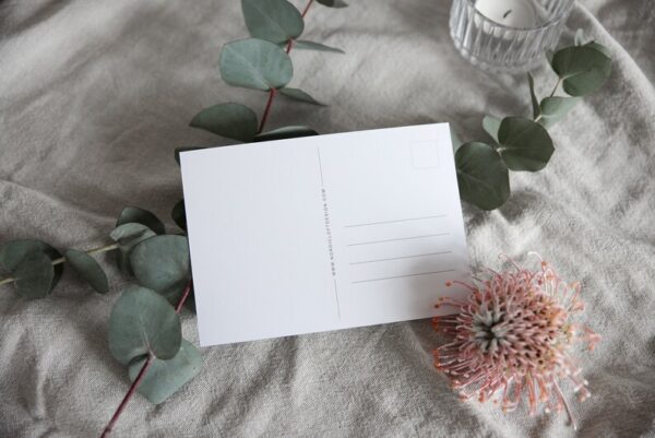 Rückseite einer Postkarte mit Adresslinien und Briefmarkenfeld